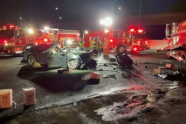 Tesla driver killed after plowing into firetruck on freeway