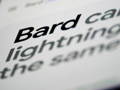 What can Google’s AI-powered Bard do? We tested it for you