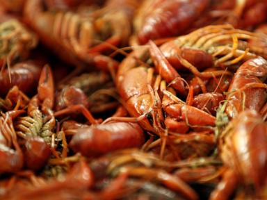 Drought pinched Louisiana’s crawfish harvest, but mudbug fans are weathering the shortage