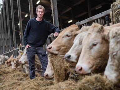 Hard right makes hay with European farmers’ anger ahead of June elections