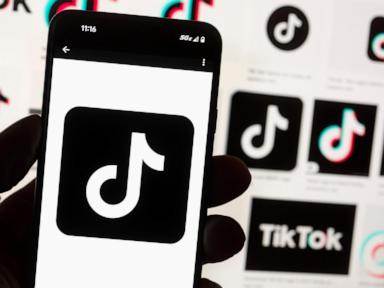 TikTok has promised to sue over the potential US ban. What’s the legal outlook?